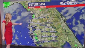 Tampa weather | Above normal temps & humidity