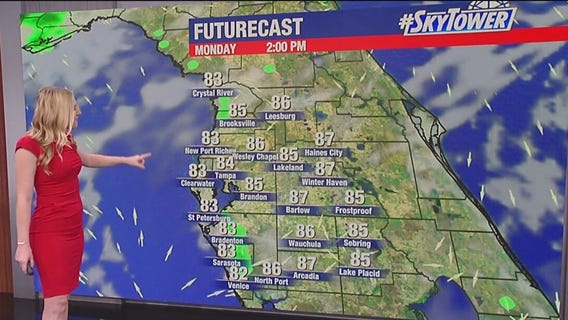 Tampa weather | Above normal temps & humidity