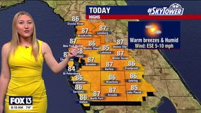 Tampa weather: Humid Sunday in Bay Area