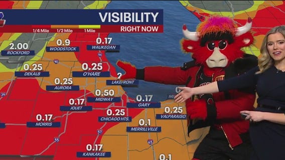 Benny the Bull delivers your Chicago weather forecast