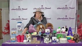 Tips for keeping your pets healthy in winter