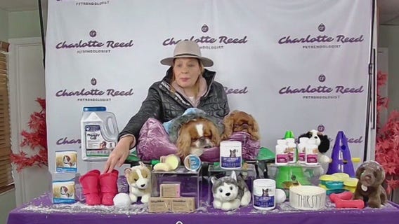 Tips for keeping your pets healthy in winter