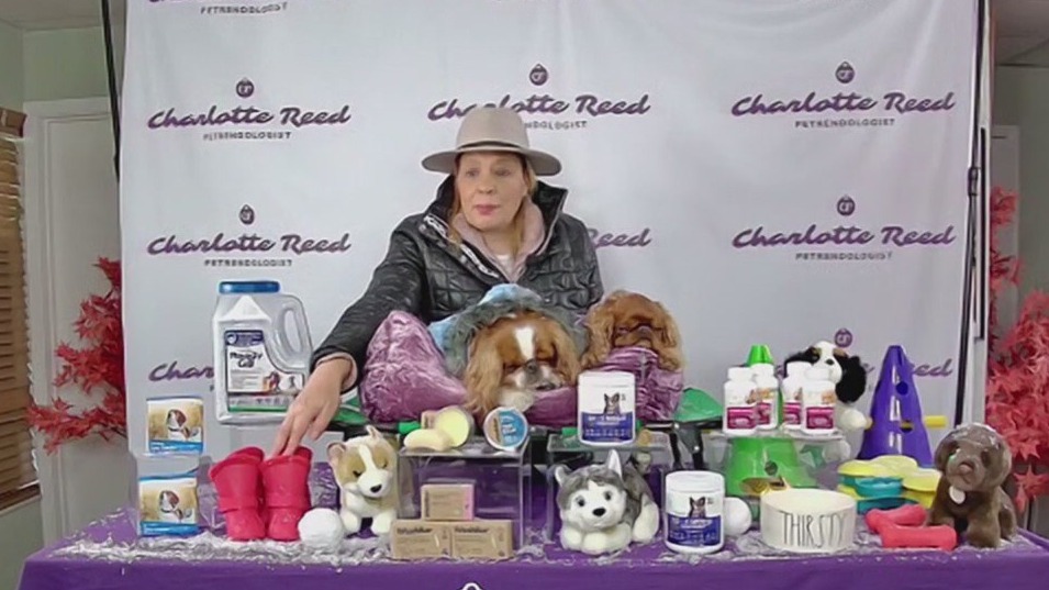 Tips for keeping your pets healthy in winter