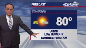Tampa weather | Sunny and cool in Tampa Bay