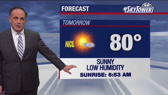 Tampa weather | Sunny and cool in Tampa Bay