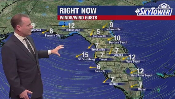 Tampa weather | Windy Wednesday