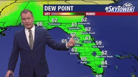 Tampa weather | More warmth, lower humidity