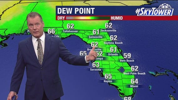 Tampa weather | More warmth, lower humidity