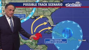 Tampa weather | Light breeze and cooler temps