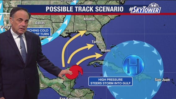 Tampa weather | Light breeze and cooler temps