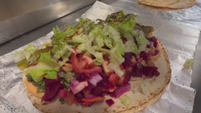 Mediterranean Chickpea in Tampa