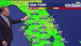 Tampa weather | Breezy & warm ahead of cold front