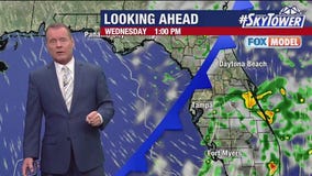 Tampa weather | Humid before cold front moves in
