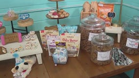 Charley's World | Bark Life Market