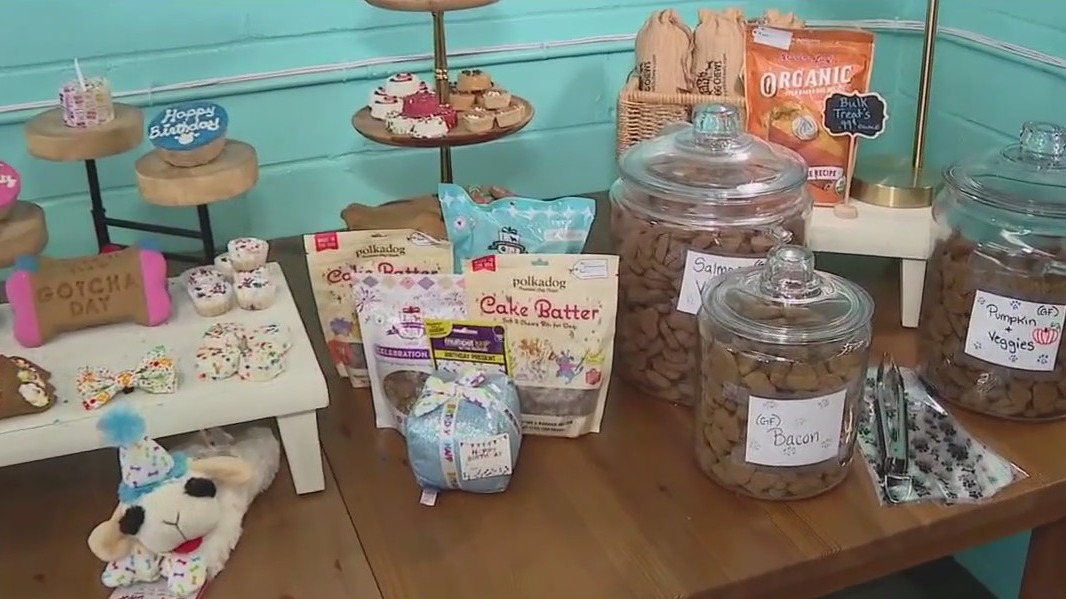 Charley's World | Bark Life Market