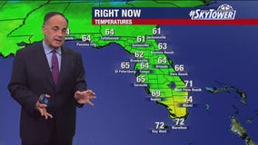 Tampa weather | Cool & clear in Tampa