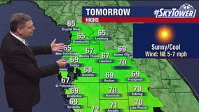 Tampa weather | Pleasant with cooler temperatures