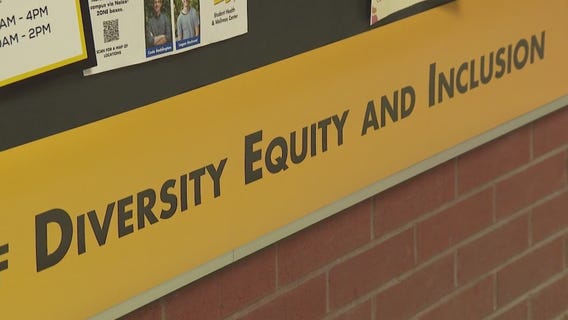 Diversity, equity and inclusion experts sound off on program critiques