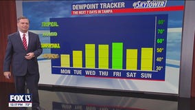 Tampa weather | Clear skies and dry conditions