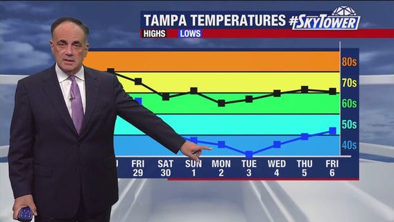 Tampa weather | Mild temps and clear skies