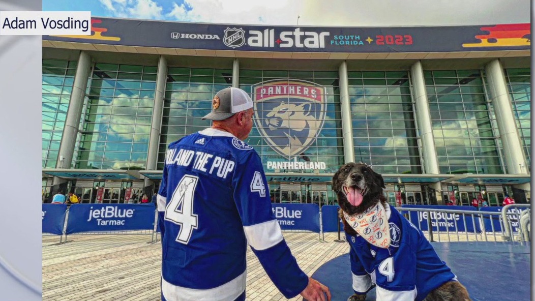 Bay Area dog visits every NHL arena