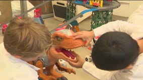 ?Trouble in Toyland? report