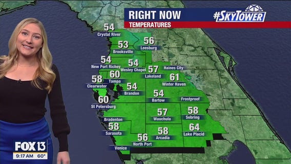 Tampa weather | Cool temperatures continue