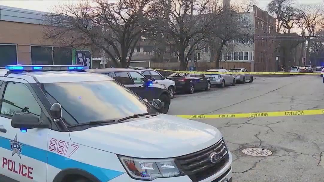 Chicago activists call for end of violence plaguing the city