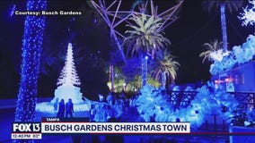 Charley's World | Busch Gardens Christmas Town