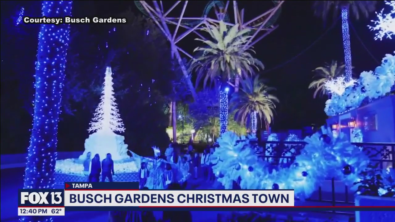 Charley's World | Busch Gardens Christmas Town