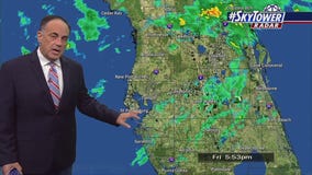 Tampa weather | Cool, calm & damp in Tampa Bay
