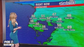 Tampa weather | Sunny in the afternoon Sunday