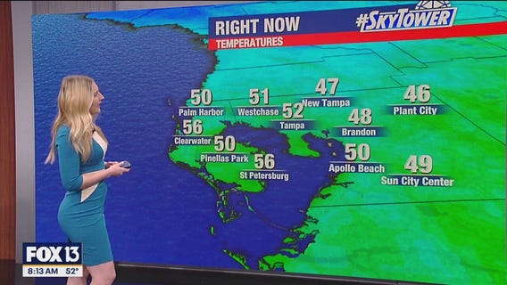 Tampa weather | Sunny in the afternoon Sunday