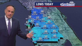 Tampa weather | Lows in the 40's today