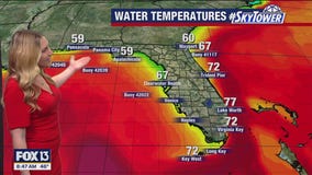 Tampa weather | Cool temperatures continue