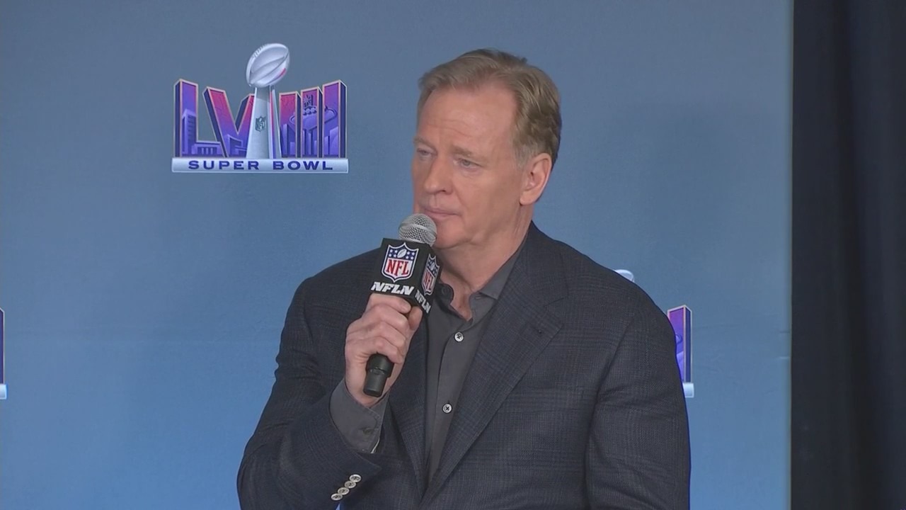 NFL commissioner weighs in on Chicago Bears' new stadium