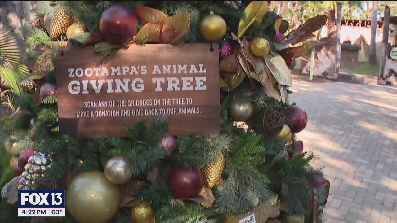 Christmas in the Wild at ZooTampa | FOX 13 Tampa Bay