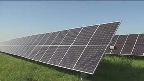 Illinois Manufacturers' Association going green