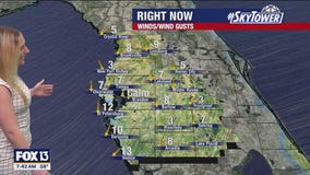 Tampa weather | Breezy and mild temperatures