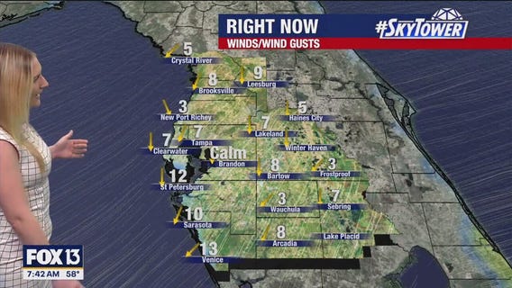 Tampa weather | Breezy and mild temperatures