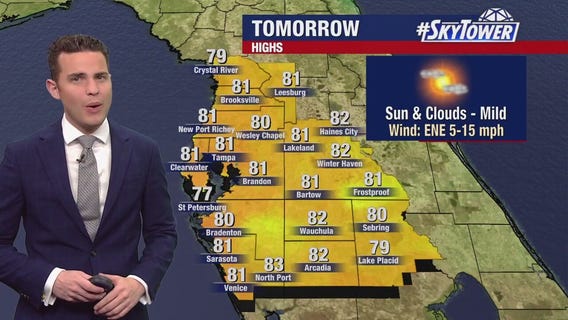 Tampa weather | Mild temperatures