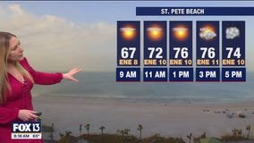 Tampa weather | Breezy and comfortable temps