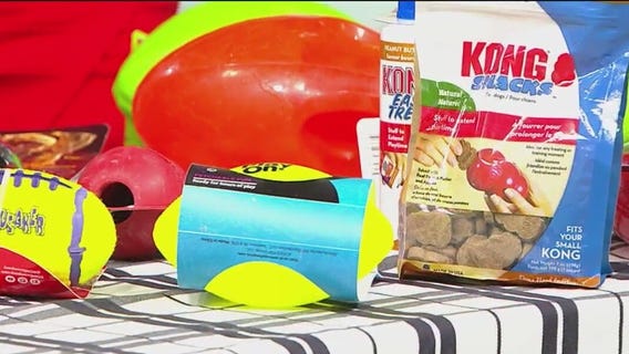 Pet-friendly Super Bowl snacks and toys for your furry friends