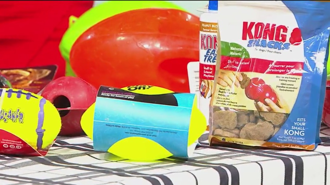 Pet-friendly Super Bowl snacks and toys for your furry friends