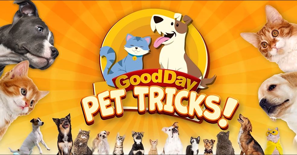 Good Day Pet Tricks for Feb. 5