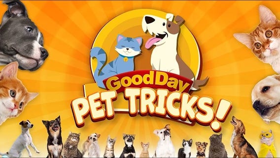 Good Day Pet Tricks for Feb. 2