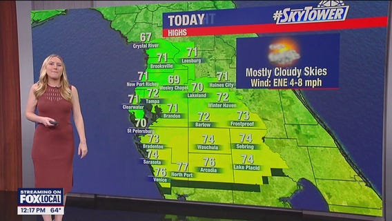 Tampa weather | Cloudy and mild temperatures