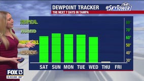 Tampa weather | Comfortable temperatures