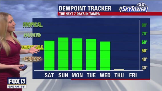 Tampa weather | Comfortable temperatures