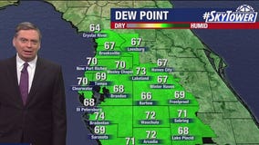 Tampa weather | Warm Monday afternoon